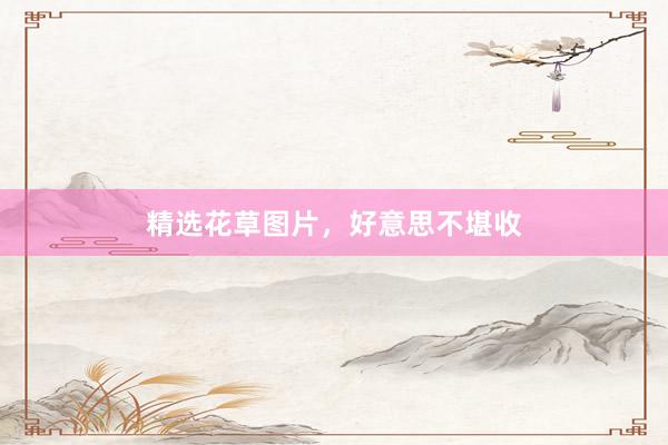 精选花草图片，好意思不堪收