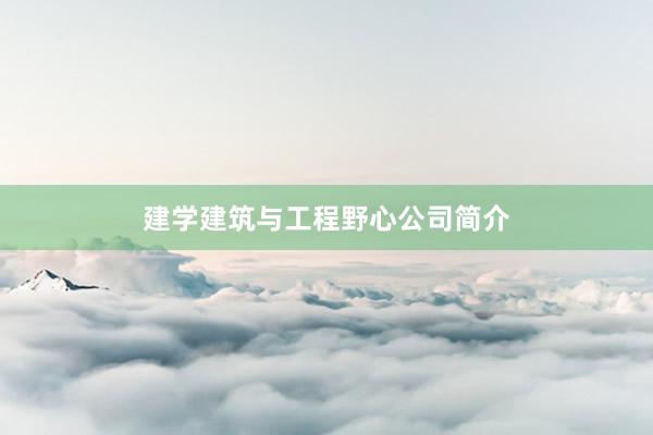 建学建筑与工程野心公司简介