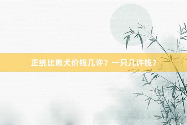 正统比熊犬价钱几许？一只几许钱？