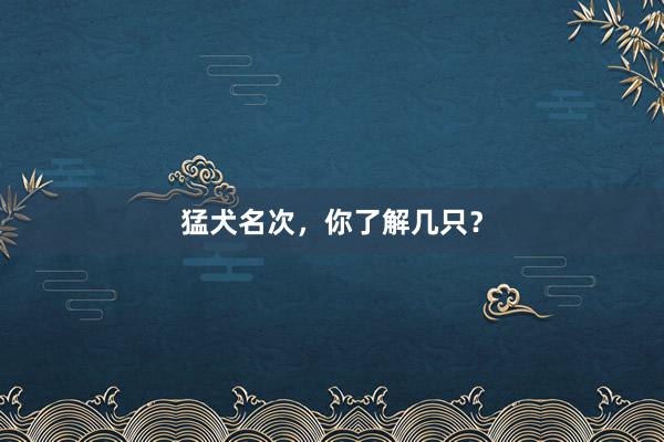 猛犬名次，你了解几只？